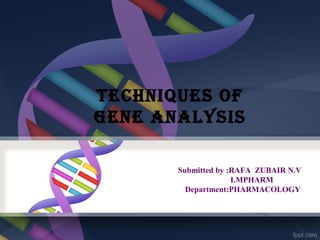 TECHNIQUES OF
GENE ANALYSIS
Submitted by :RAFA ZUBAIR N.V
I.MPHARM
Department:PHARMACOLOGY
 
