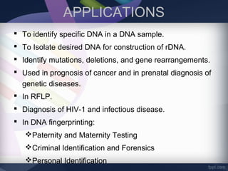 APPLICATIONS
 To identify specific DNA in a DNA sample.
 To Isolate desired DNA for construction of rDNA.
 Identify mutations, deletions, and gene rearrangements.
 Used in prognosis of cancer and in prenatal diagnosis of
genetic diseases.
 In RFLP.
 Diagnosis of HIV-1 and infectious disease.
 In DNA fingerprinting:
Paternity and Maternity Testing
Criminal Identification and Forensics
Personal Identification
 