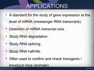 APPLICATIONS
• A standard for the study of gene expression at the
level of mRNA (messenger RNA transcripts).
• Detection of mRNA transcript size .
• Study RNA degradation .
• Study RNA splicing .
• Study RNA half-life.
• Often used to confirm and check transgenic /
knockout mice (animals) .
 
