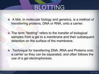 BLOTTING
A blot, in molecular biology and genetics, is a method of
transferring proteins, DNA or RNA, onto a carrier.
The term "blotting" refers to the transfer of biological
samples from a gel to a membrane and their subsequent
detection on the surface of the membrane.
Technique for transferring DNA ,RNA and Proteins onto
a carrier so they can be separated, and often follows the
use of a gel electrophoresis.
 