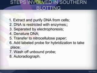 STEPS INVOLVED IN SOUTHERN
BLOTTING
1. Extract and purify DNA from cells;
2. DNA is restricted with enzymes;;
3. Separated by electrophoresis;
4. Denature DNA;
5. Transfer to nitrocellulose paper;
6. Add labeled probe for hybridization to take
place;
7. Wash off unbound probe;
8. Autoradiograph.
 