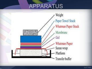 APPARATUS
 