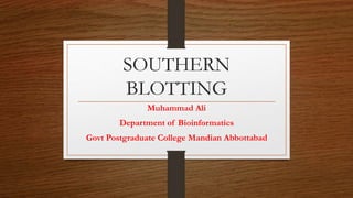 SOUTHERN
BLOTTING
Muhammad Ali
Department of Bioinformatics
Govt Postgraduate College Mandian Abbottabad
 