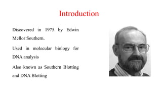 Southern blotting | PPTX