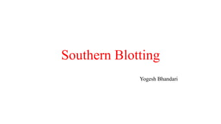 Southern Blotting
Yogesh Bhandari
 
