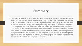 Summary
• Southern blotting is a technique that can be used to separate and detect DNA
molecules of interest while Northern blotting can be used to isolate and detect
RNA molecules of interest. Both techniques work in the same way. The nucleic acid
is broken down into many smaller fragments by the action of restriction enzymes.
The fragments are then denatured and run under gel electrophoresis conditions.
The results of the electrophoresis are transferred onto a polymer sheet and a nucleic
acid probe is added. The radioactively-labeled probe is built so that its sequence is
complementary to the sequence of the fragment to be isolated. Once the probe
hybridizes with the fragment of interest, autoradiography can then be used to detect
the band that contains the fragment of interest
 