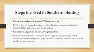 Steps involved in Southern blotting
• Extraction and purification of DNA from cells
• DNA is first separated from target cells following standard methods of
genomic DNA extraction and then purified.
• Restriction Digestion or DNA Fragmentation
• Restriction endonucleases are used to cut high-molecular-weight DNA
strands into smaller fragments. One or more restriction enzymes can be used
to achieve such fragment
 