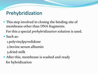 Prehybridization
 This step involved in closing the binding site of
membrane other than DNA fragments.
For this a special prehybridization solution is used.
 Such as-
1.polyvinylpyrrolidone
2.bovine serum albumin
3.dried milk
 After this, membrane is washed and ready
for hybridization
 