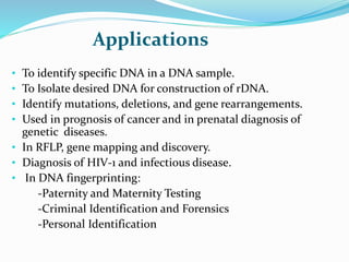 Applications
• To identify specific DNA in a DNA sample.
• To Isolate desired DNA for construction of rDNA.
• Identify mutations, deletions, and gene rearrangements.
• Used in prognosis of cancer and in prenatal diagnosis of
genetic diseases.
• In RFLP, gene mapping and discovery.
• Diagnosis of HIV-1 and infectious disease.
• In DNA fingerprinting:
-Paternity and Maternity Testing
-Criminal Identification and Forensics
-Personal Identification
 