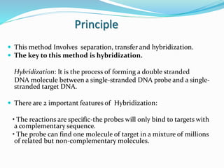 Principle
 This method Involves separation, transfer and hybridization.
 The key to this method is hybridization.
Hybridization: It is the process of forming a double stranded
DNA molecule between a single-stranded DNA probe and a single-
stranded target DNA.
 There are 2 important features of Hybridization:
• The reactions are specific-the probes will only bind to targets with
a complementary sequence.
• The probe can find one molecule of target in a mixture of millions
of related but non-complementary molecules.
 