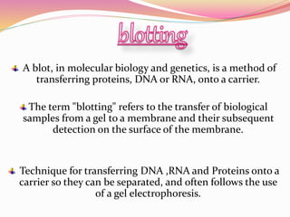 A blot, in molecular biology and genetics, is a method of
transferring proteins, DNA or RNA, onto a carrier.
The term "blotting" refers to the transfer of biological
samples from a gel to a membrane and their subsequent
detection on the surface of the membrane.
Technique for transferring DNA ,RNA and Proteins onto a
carrier so they can be separated, and often follows the use
of a gel electrophoresis.
 
