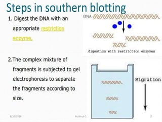 8/30/2018 By Hirut G. 17
 