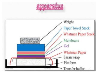 8/30/2018 By Hirut G. 22
 