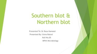 Southern blot &
Northern blot
Presented To: Dr Raza Hameed
Presented By: Uzma Batool
Roll No.05
MPhil Microbiology
 