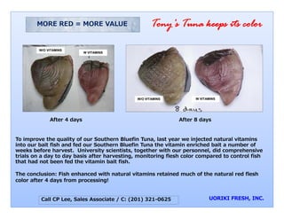 MORE RED = MORE VALUE                        Tony’s Tuna keeps its color
                                                        y           p

         W/O VITAMINS
                             W VITAMINS




                                              W/O VITAMINS
                                                O                   W VITAMINS




              After 4 days                                    After 8 days


To improve the quality of our Southern Bluefin TTuna, last year we injected natural vitamins
into our bait fish and fed our Southern Bluefin T
                                                Tuna the vitamin enriched bait a number of
weeks before harvest. University scientists, toggether with our personnel, did comprehensive
trials on a day to day basis after harvesting, mo
                                                onitoring flesh color compared to control fish
that had not been fed the vitamin bait fish.

The conclusion: Fish enhanced with natural vitamins retained much of the natural red flesh
color after 4 days from processing!


          Call CP Lee, Sales Associate / C: (201) 321-0625
                                                )
 