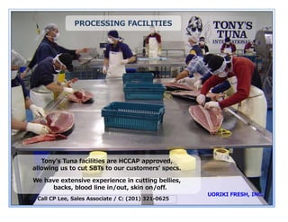 PROCESSING FACI
                            ILITIES




   Tony's Tuna facilities are HCCAP a
                                    approved,
allowing us to cut SBTs to our custom
                                    mersʼ specs.

We have extensive experience in cuttting bellies,
     backs, blood line in/out, skin on/off.
 Call CP Lee, Sales Associate / C: (201) 3
                                         321-0625
 