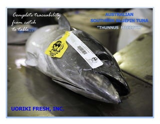 Complete traceability
     p              y
from catch
to table...
 