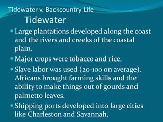 Tidewater v. Backcountry Life	TidewaterLarge plantations developed along the coast and the rivers and creeks of the coastal plain.Major crops were tobacco and rice.Slave labor was used (20-100 on average). Africans brought farming skills and the ability to make things out of gourds and palmetto leaves.Shipping ports developed into large cities like Charleston and Savannah.