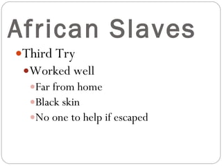 African Slaves Third Try Worked well  Far from home Black skin No one to help if escaped 