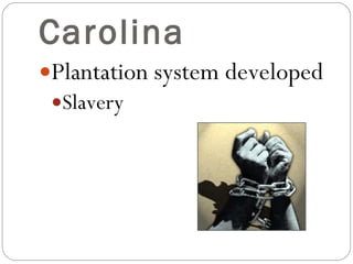Carolina Plantation system developed Slavery 
