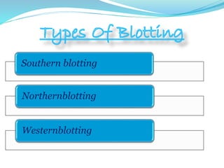 Southern blotting
Northernblotting
Westernblotting
 