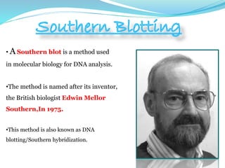 • A Southern blot is a method used
in molecular biology for DNA analysis.
•The method is named after its inventor,
the British biologist Edwin Mellor
Southern,In 1975.
•This method is also known as DNA
blotting/Southern hybridization.
 