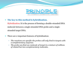  The key to this method is hybridization.
Hybridization: It is the process of forming a double-stranded DNA
molecule between a single-stranded DNA probe and a single-
stranded target DNA.
 There are 2 important features of hybridization:
• The reactions are specific-the probes will only bind to targets with
a complementary sequence.
• The probe can find one molecule of target in a mixture of millions
of related but non-complementary molecules.
 