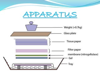 APPARATUS
 