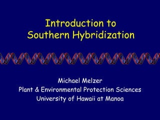 Introduction to
Southern Hybridization
Michael Melzer
Plant & Environmental Protection Sciences
University of Hawaii at Manoa
 