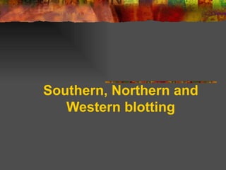 Southern, Northern and Western blotting 