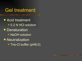 Gel treatment Acid treatment  0.2 N HCl solution  Denaturation NaOH solution Neutralization Tris-Cl buffer (pH8.0) 