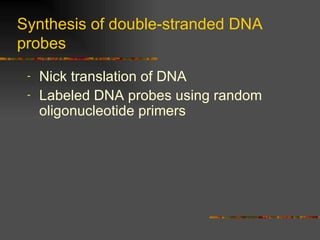 Synthesis of double-stranded DNA probes Nick translation of DNA Labeled DNA probes using random oligonucleotide primers 