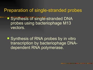 Preparation of single-stranded probes Synthesis of single-stranded DNA probes using bacteriophage M13 vectors. Synthesis of RNA probes by in vitro transcription by bacteriophage DNA-dependent RNA polymerase. 