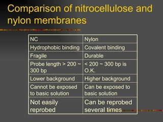 Comparison of nitrocellulose and nylon membranes NC   Nylon   Hydrophobic binding   Covalent binding   Fragile   Durable   Probe length > 200 ~ 300 bp   < 200 ~ 300 bp is O.K.   Lower background   Higher background   Cannot be exposed to basic solution   Can be exposed to basic solution   Not easily reprobed   Can be reprobed   several times   
