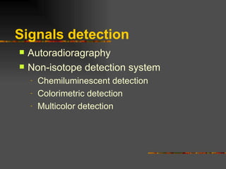 Signals detection Autoradioragraphy Non-isotope detection system Chemiluminescent detection Colorimetric detection Multicolor detection 