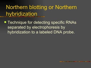 Northern blotting or Northern hybridization Technique for detecting specific RNAs separated by electrophoresis by hybridization to a labeled DNA probe. 