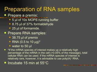 Preparation of RNA samples  Prepare a premix: 5   l of 10x MOPS running buffer 8.75   l of 37% formaldehyde 25   l of formamide. Prepare RNA samples: 38.75   l of premix RNA (0.5 to 10   g)* water to 50   l *If the mRNA species of interest makes up a relatively high percentage of the mRNA in the cell (>0.05% of the message), total cellular RNA can be used. If the mRNA species of interest is relatively rare, however, it is advisable to use poly(A) +  RNA. Incubate 15 min at 55  C 