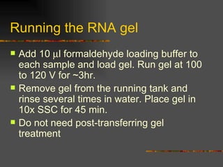 Running the RNA gel Add 10   l formaldehyde loading buffer to each sample and load gel. Run gel at 100 to 120 V for ~3hr. Remove gel from the running tank and rinse several times in water. Place gel in 10x SSC for 45 min. Do not need post-transferring gel treatment 