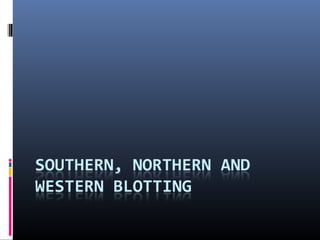 Southern northern and western blotting