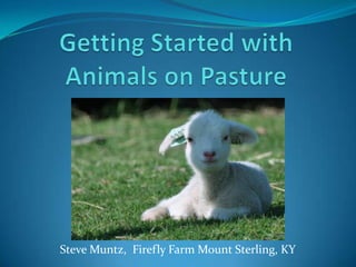 Steve Muntz, Firefly Farm Mount Sterling, KY
 