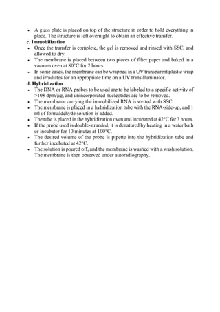  A glass plate is placed on top of the structure in order to hold everything in
place. The structure is left overnight to obtain an effective transfer.
c. Immobilization
 Once the transfer is complete, the gel is removed and rinsed with SSC, and
allowed to dry.
 The membrane is placed between two pieces of filter paper and baked in a
vacuum oven at 80°C for 2 hours.
 In some cases, the membrane can be wrapped in a UV transparent plastic wrap
and irradiates for an appropriate time on a UV transilluminator.
d. Hybridization
 The DNA or RNA probes to be used are to be labeled to a specific activity of
>108 dpm/µg, and unincorporated nucleotides are to be removed.
 The membrane carrying the immobilized RNA is wetted with SSC.
 The membrane is placed in a hybridization tube with the RNA-side-up, and 1
ml of formaldehyde solution is added.
 The tube is placed in the hybridization oven and incubated at 42°C for 3 hours.
 If the probe used is double-stranded, it is denatured by heating in a water bath
or incubator for 10 minutes at 100°C.
 The desired volume of the probe is pipette into the hybridization tube and
further incubated at 42°C.
 The solution is poured off, and the membrane is washed with a wash solution.
The membrane is then observed under autoradiography.
 