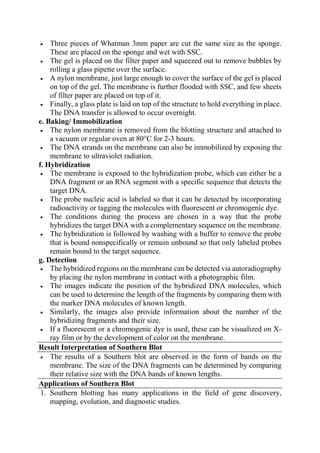  Three pieces of Whatman 3mm paper are cut the same size as the sponge.
These are placed on the sponge and wet with SSC.
 The gel is placed on the filter paper and squeezed out to remove bubbles by
rolling a glass pipette over the surface.
 A nylon membrane, just large enough to cover the surface of the gel is placed
on top of the gel. The membrane is further flooded with SSC, and few sheets
of filter paper are placed on top of it.
 Finally, a glass plate is laid on top of the structure to hold everything in place.
The DNA transfer is allowed to occur overnight.
e. Baking/ Immobilization
 The nylon membrane is removed from the blotting structure and attached to
a vacuum or regular oven at 80°C for 2-3 hours.
 The DNA strands on the membrane can also be immobilized by exposing the
membrane to ultraviolet radiation.
f. Hybridization
 The membrane is exposed to the hybridization probe, which can either be a
DNA fragment or an RNA segment with a specific sequence that detects the
target DNA.
 The probe nucleic acid is labeled so that it can be detected by incorporating
radioactivity or tagging the molecules with fluorescent or chromogenic dye.
 The conditions during the process are chosen in a way that the probe
hybridizes the target DNA with a complementary sequence on the membrane.
 The hybridization is followed by washing with a buffer to remove the probe
that is bound nonspecifically or remain unbound so that only labeled probes
remain bound to the target sequence.
g. Detection
 The hybridized regions on the membrane can be detected via autoradiography
by placing the nylon membrane in contact with a photographic film.
 The images indicate the position of the hybridized DNA molecules, which
can be used to determine the length of the fragments by comparing them with
the marker DNA molecules of known length.
 Similarly, the images also provide information about the number of the
hybridizing fragments and their size.
 If a fluorescent or a chromogenic dye is used, these can be visualized on X-
ray film or by the development of color on the membrane.
Result Interpretation of Southern Blot
 The results of a Southern blot are observed in the form of bands on the
membrane. The size of the DNA fragments can be determined by comparing
their relative size with the DNA bands of known lengths.
Applications of Southern Blot
1. Southern blotting has many applications in the field of gene discovery,
mapping, evolution, and diagnostic studies.
 