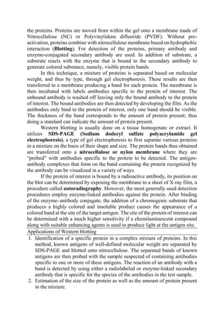 the proteins. Proteins are moved from within the gel onto a membrane made of
Nitrocellulose (NC) or Polyvinylidene difluoride (PVDF). Without pre-
activation, proteins combine with nitrocellulose membrane based on hydrophobic
interaction (Blotting). For detection of the proteins, primary antibody and
enzyme-conjugated secondary antibody are used. In addition of substrate, a
substrate reacts with the enzyme that is bound to the secondary antibody to
generate colored substance, namely, visible protein bands.
In this technique, a mixture of proteins is separated based on molecular
weight, and thus by type, through gel electrophoresis. These results are then
transferred to a membrane producing a band for each protein. The membrane is
then incubated with labels antibodies specific to the protein of interest. The
unbound antibody is washed off leaving only the bound antibody to the protein
of interest. The bound antibodies are then detected by developing the film. As the
antibodies only bind to the protein of interest, only one band should be visible.
The thickness of the band corresponds to the amount of protein present; thus
doing a standard can indicate the amount of protein present.
Western blotting is usually done on a tissue homogenate or extract. It
utilizes SDS-PAGE (Sodium dodecyl sulfate polyacrylamide gel
electrophoresis), a type of gel electrophoresis to first separate various proteins
in a mixture on the basis of their shape and size. The protein bands thus obtained
are transferred onto a nitrocellulose or nylon membrane where they are
“probed” with antibodies specific to the protein to be detected. The antigen-
antibody complexes that form on the band containing the protein recognized by
the antibody can be visualized in a variety of ways.
If the protein of interest is bound by a radioactive antibody, its position on
the blot can be determined by exposing the membrane to a sheet of X-ray film, a
procedure called autoradiography. However, the most generally used detection
procedures employ enzyme-linked antibodies against the protein. After binding
of the enzyme–antibody conjugate, the addition of a chromogenic substrate that
produces a highly colored and insoluble product causes the appearance of a
colored band at the site of the target antigen. The site of the protein of interest can
be determined with a much higher sensitivity if a chemiluminescent compound
along with suitable enhancing agents is used to produce light at the antigen site.
Applications of Western blotting
1. Identification of a specific protein in a complex mixture of proteins. In this
method, known antigens of well-defined molecular weight are separated by
SDS-PAGE and blotted onto nitrocellulose. The separated bands of known
antigens are then probed with the sample suspected of containing antibodies
specific to one or more of these antigens. The reaction of an antibody with a
band is detected by using either a radiolabeled or enzyme-linked secondary
antibody that is specific for the species of the antibodies in the test sample.
2. Estimation of the size of the protein as well as the amount of protein present
in the mixture.
 