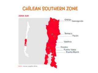 CHILEAN SOUTHERN ZONE
 