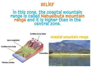 RELIEF
In this zone, the coastal mountain
range is called Nahuelbuta mountain
range and it is higher than in the
central zone.
coastal mountain range
 