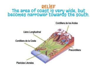 RELIEF
The area of coast is very wide, but
becomes narrower towards the south.
 
