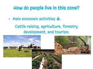 How do people live in this zone?
▪ Main economic activities 💰:
Cattle raising, agriculture, forestry
development, and tourism.
 