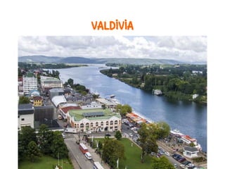 VALDIVIA
 