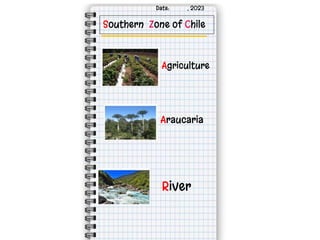 Southern Zone of Chile
Agriculture
Araucaria
River
Date: , 2023
 