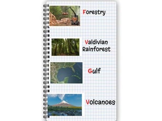 Forestry
Valdivian
Rainforest
Gulf
Volcanoes
 